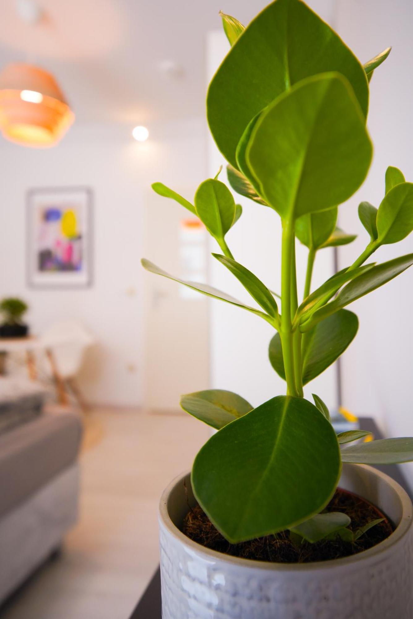 Stilvolles Apartment Im Laessigsten Viertel มิวนิก ภายนอก รูปภาพ